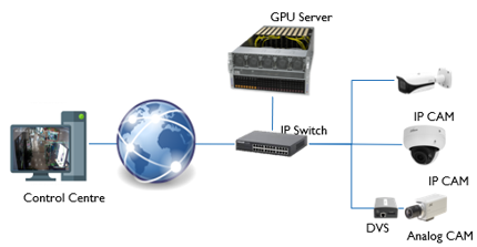 Renewable Energy Case Study